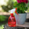Zraszacz transparentny FLORA 550ml czerwony